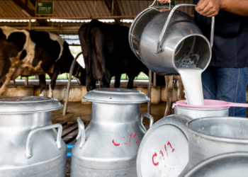 Raw milk outbreak reported in Louisiana