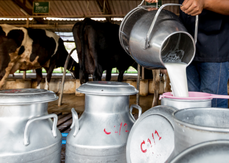 Dozens sick in Idaho outbreak tied to raw milk