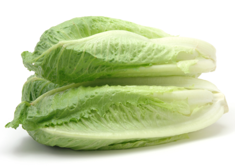 Publisher’s Platform: What the FDA did not want you to read about the November 2024 romaine E. coli outbreak