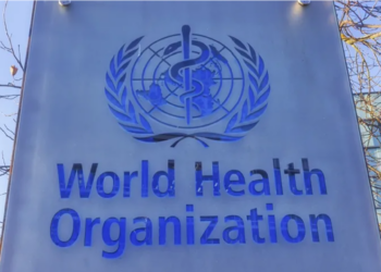 Understanding burden is ‘just the beginning’, says WHO group