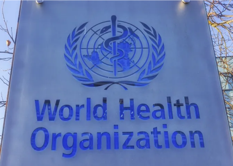 Understanding burden is ‘just the beginning’, says WHO group