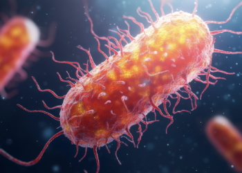 Listeria levels steady in England with 28 related deaths