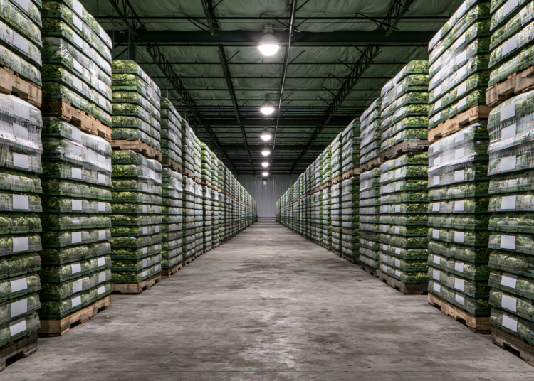 Publisher’s Platform: The Traceability Rule Was Supposed to Be Law in January. This Cyclospora Outbreak Started in May.