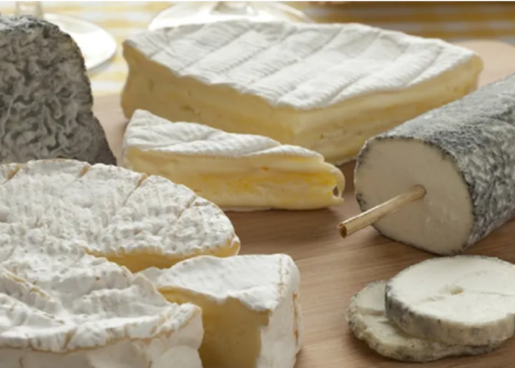 Cheese linked to Salmonella outbreak in Portugal