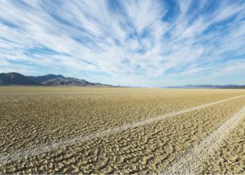 Sunday Edition: Regenerative Agriculture