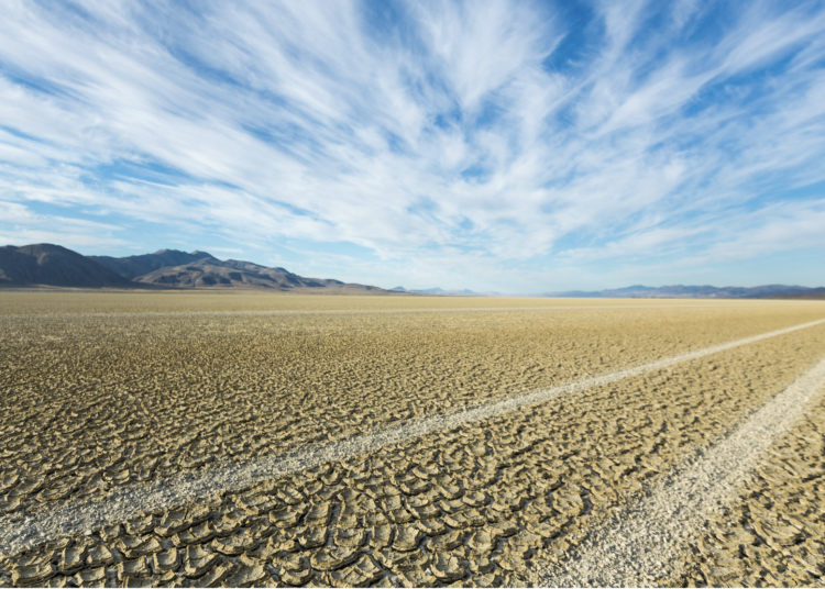 Sunday Edition: Regenerative Agriculture