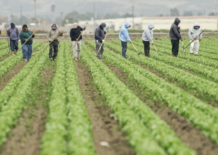 Sunday Edition: Farm Bill 2.0
