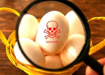 French Salmonella outbreak linked to Polish eggs