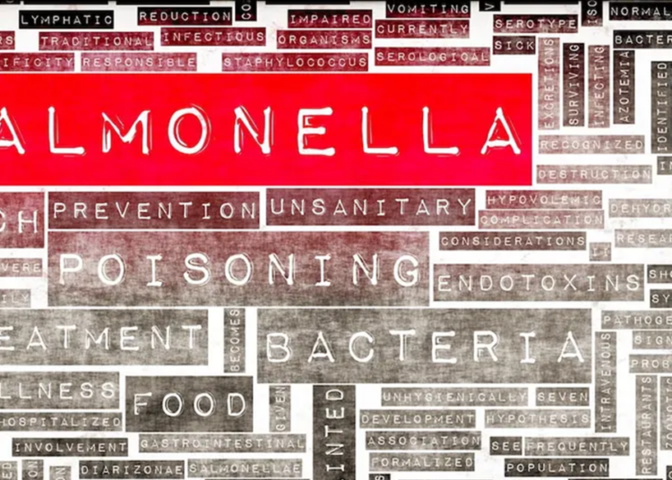 More than 100 sick in severe multi-country Salmonella outbreak
