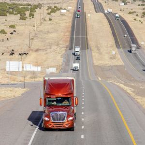 Mexican trucking group urges US to clarify B-1 visa revocations