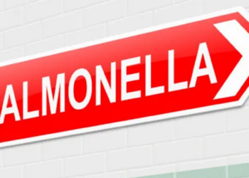 UK reports Salmonella outbreak with 200 sick and one dead