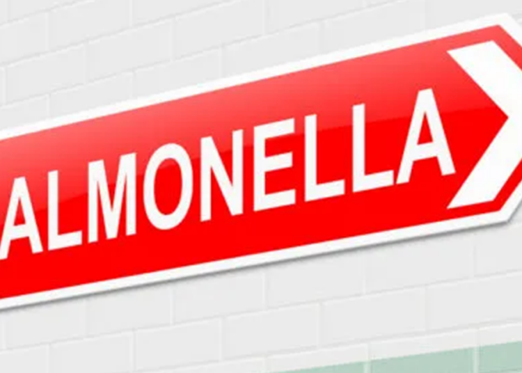 UK reports Salmonella outbreak with 200 sick and one dead