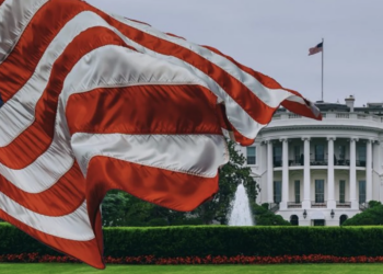 Publisher’s Platform: A White House adviser says the Cyclospora outbreak is manufactured hysteria. Taco Bell’s parent company is on his list of culprits.
