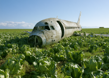 Publisher’s Platform: Frank Yiannas Wants an Independent Board to Investigate Foodborne Outbreaks. Set the Airplanes Aside.