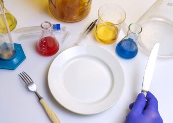 The Sunday Edition: GMOs