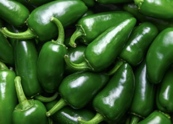 Whole Foods recalls dozens of jalapeño products because of link to Salmonella outbreak