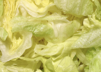 CDC adds more than 3,000 more patients to count in Cyclospora outbreak linked to lettuce