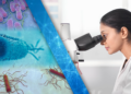 FDA tracking 17 active outbreaks