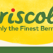 Berry company CEO steps down amid pesticide whirlwind