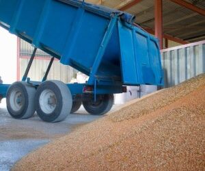 One complaint exposed $800K Texas grain theft spanning 176 loads