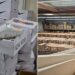Port inspection leads to $10M counterfeit Nike, Adidas seizure in California