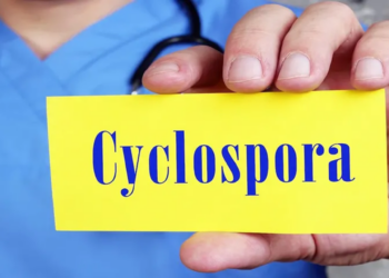 Italian reports cover Cyclospora and Salmonella cases