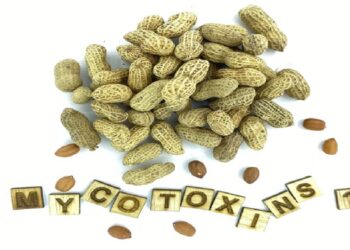 German survey finds limited mycotoxin awareness