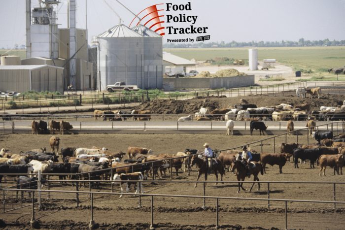 30 Days After Increased Beef Imports, US Ranchers Are Getting Paid Less for Cattle
