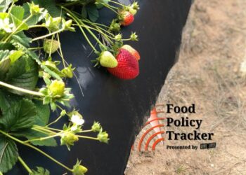 Lawmakers Press USDA on Funding for Urban Ag