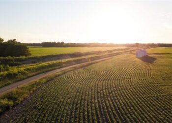 Op-ed: Agricultural ‘Efficiency’ Is a False Promise