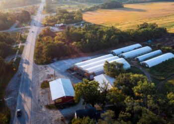 Op-ed: There’s a Future for Farming in Chicago and Cities Beyond