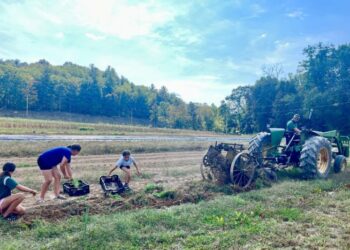 As Midterms Approach, Federal Food Policies Have West Virginians Turning Toward Community