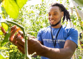 In Chicago, Historic Hull House Shares Lessons on Urban Farming