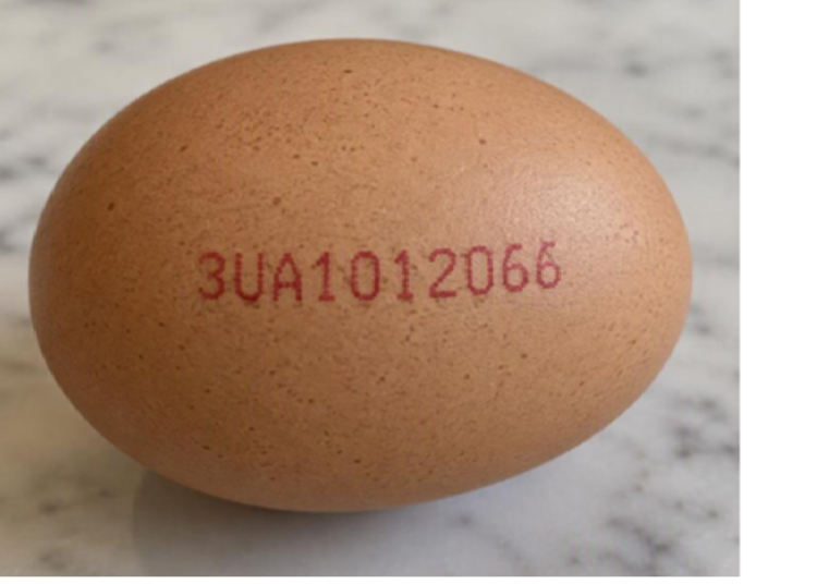 Ukrainian egg firm comments on UK Salmonella link