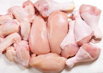 Light technique shows promise in tackling Campylobacter