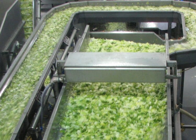Consumer Reports wants FDA official to explain the agency’s response to the Cyclospora outbreak
