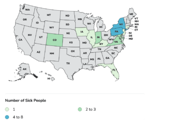 More than 2 dozen patients identified in outbreak linked to oysters