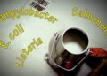 Pediatricians’ research shows dangers of raw milk