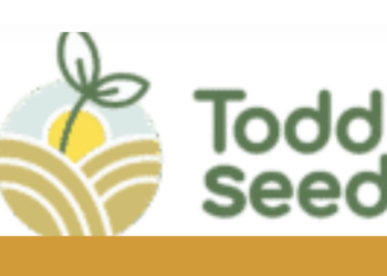 Sprouting seeds recalled because of potential contamination with Salmonella, E. coli