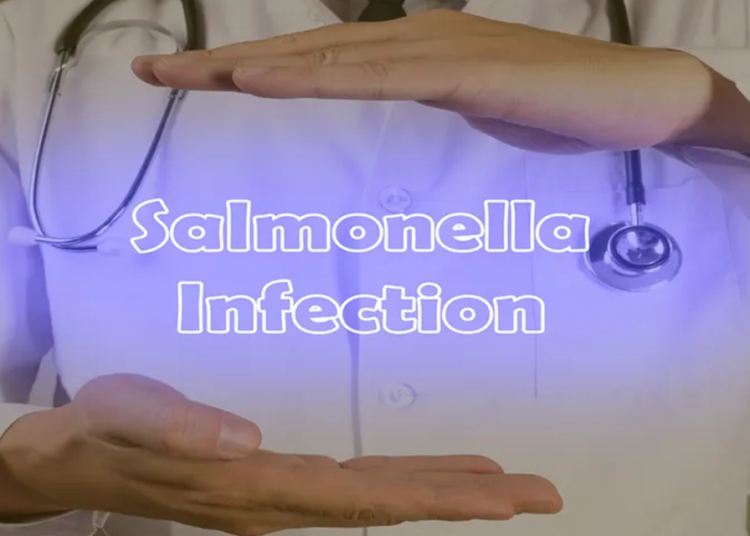 New South Wales misses Salmonella reduction target